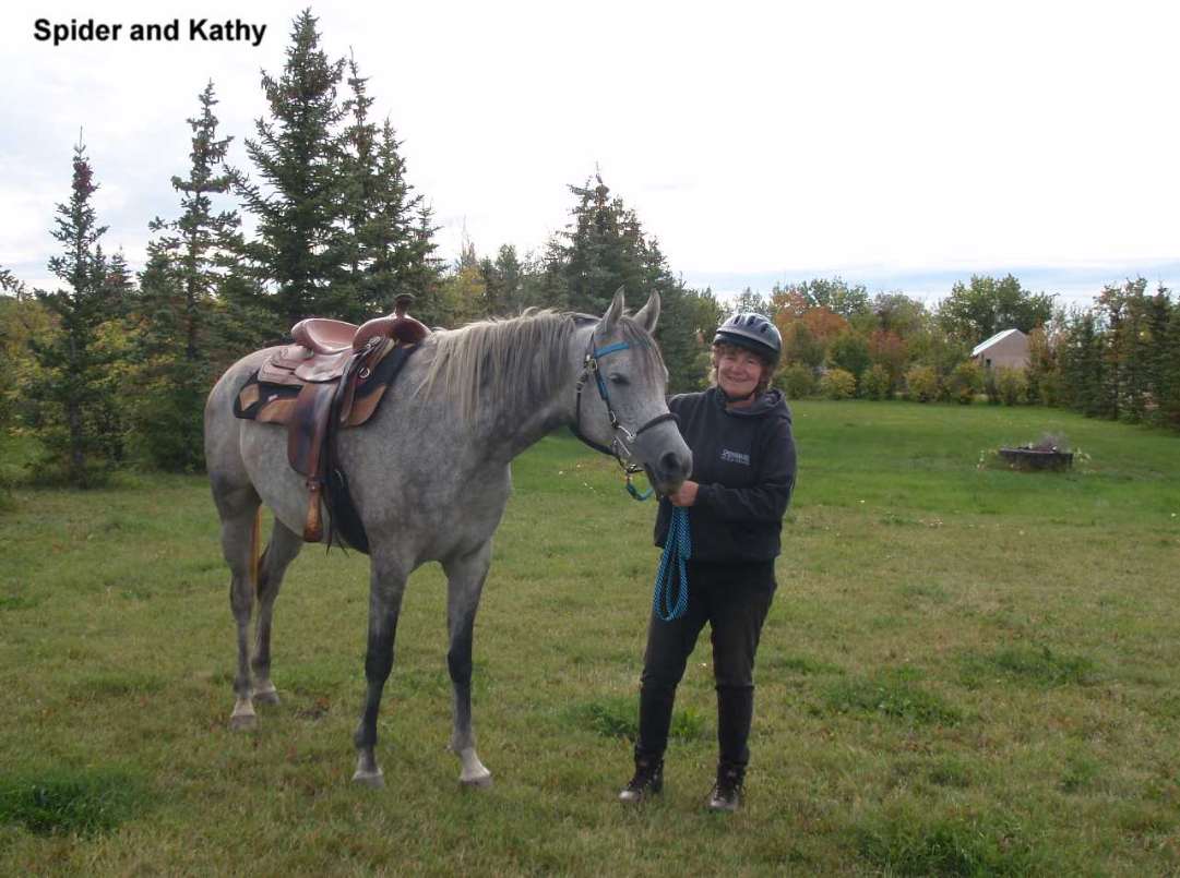 FirstFireeSpiderKathywp.JPG (94827 bytes)