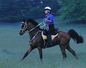 RascalBiltmore5051.JPG (21852 bytes)