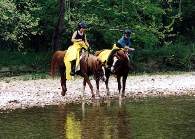 RedPepper98.jpg (70870 bytes)