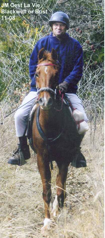 VievieLCB1108sm.JPG (60998 bytes)